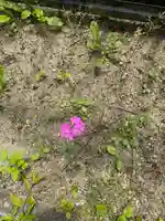 普賢寺(福島県)