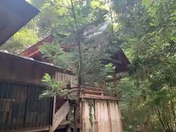 小倉神社の本殿・本堂