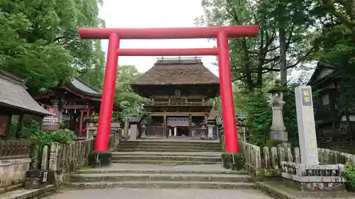 青井阿蘇神社の鳥居