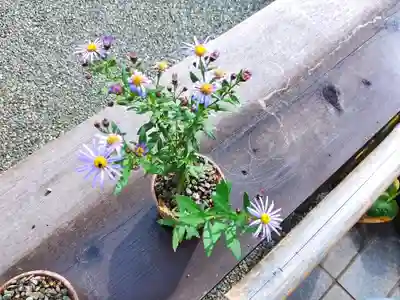 妙蓮寺(神奈川県)