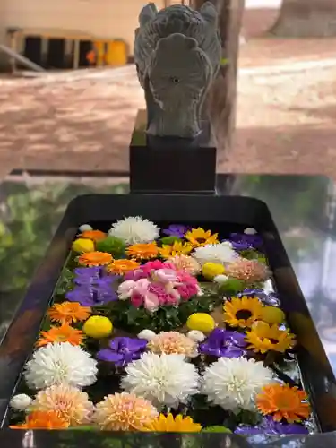 大谷地神社の手水舎