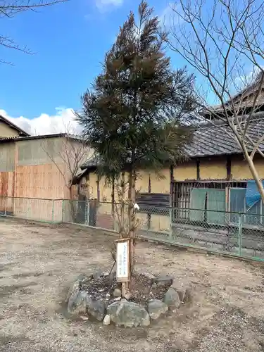 高岡神社の自然