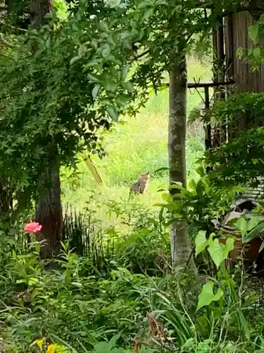 医光寺(群馬県)