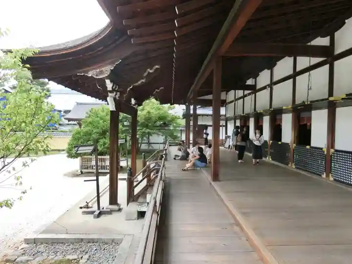 大覚寺(京都府)