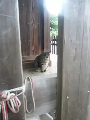 打越天神北野神社(東京都)