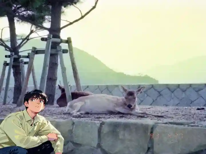 厳島神社(広島県)