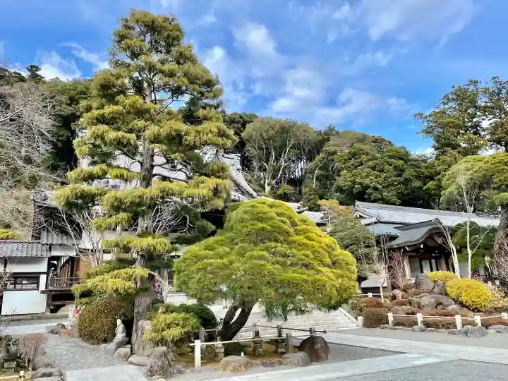 修禅寺(静岡県)