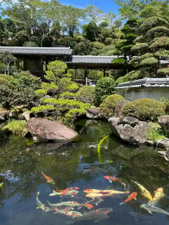 延光寺の{uncategorized: "未分類", other: "その他", undefined: "問題あり", building: "その他建物", grave: "お墓", sacred_gate: "鳥居", guardian: "狛犬", statue: "像", buddha: "仏像", history: "歴史", nature: "自然", garden: "庭園", animal: "動物", pagoda: "塔", temizu: "手水舎", mountain_gate: "山門・神門", sanctuary: "本殿・本堂", subordinate: "末社・摂社", art: "芸術", scenery: "景色", jizo: "地蔵", ema: "絵馬", goshuin: "御朱印", omikuji: "おみくじ", items: "授与品その他", amulet: "お守り", goshuincho: "御朱印帳", eats: "食事", festival: "お祭り", votive_dance: "神楽", shichigosan: "七五三参", wedding: "結婚式", experience: "体験その他", initially: "初詣", around: "周辺", anti_infection: "感染症対策"}