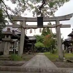 新熊野神社の鳥居
