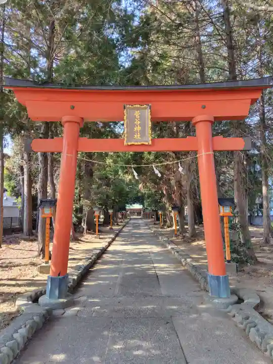 菅谷神社(埼玉県)