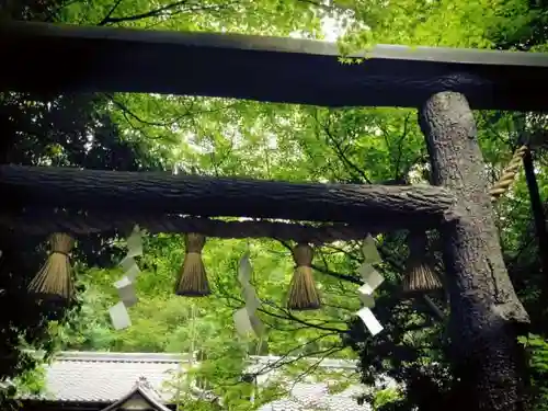 野宮神社の建物その他