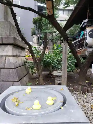 高円寺氷川神社の庭園