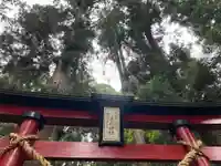 大宮温泉神社の鳥居