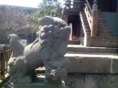 札幌神社の狛犬