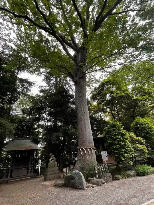 前鳥神社の{uncategorized: "未分類", other: "その他", undefined: "問題あり", building: "その他建物", grave: "お墓", sacred_gate: "鳥居", guardian: "狛犬", statue: "像", buddha: "仏像", history: "歴史", nature: "自然", garden: "庭園", animal: "動物", pagoda: "塔", temizu: "手水舎", mountain_gate: "山門・神門", sanctuary: "本殿・本堂", subordinate: "末社・摂社", art: "芸術", scenery: "景色", jizo: "地蔵", ema: "絵馬", goshuin: "御朱印", omikuji: "おみくじ", items: "授与品その他", amulet: "お守り", goshuincho: "御朱印帳", eats: "食事", festival: "お祭り", votive_dance: "神楽", shichigosan: "七五三参", wedding: "結婚式", experience: "体験その他", initially: "初詣", around: "周辺", anti_infection: "感染症対策"}