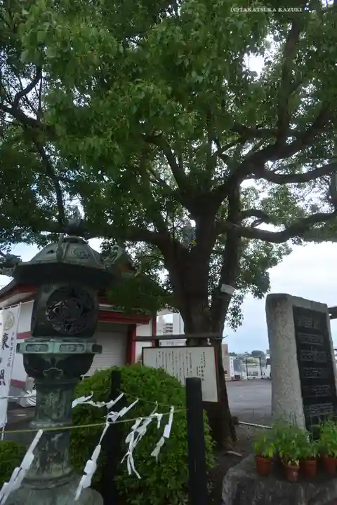 水戸東照宮(茨城県)