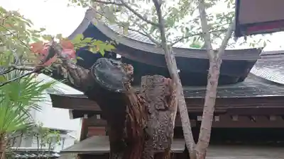 一宮神社の本殿・本堂