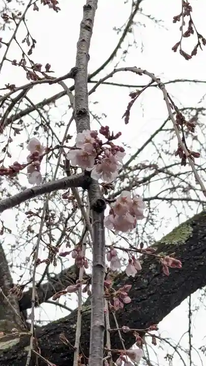 琳聖寺(京都府)