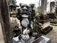 大塚神社の狛犬