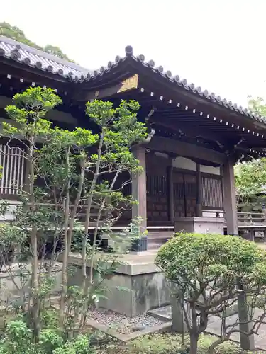 観蔵院 曼荼羅寺の本殿・本堂
