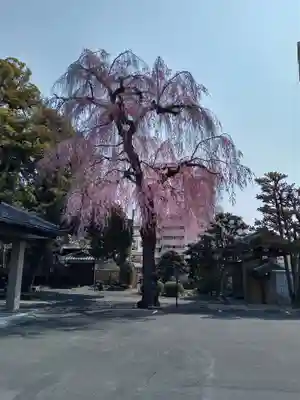 道仁寺(宮城県)