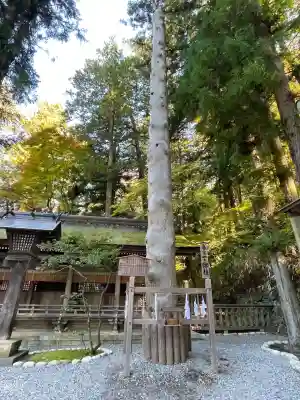 諏訪大社下社春宮(長野県)