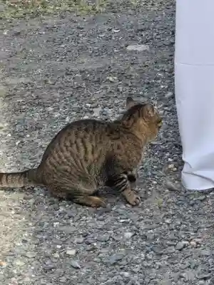 梅宮大社(京都府)