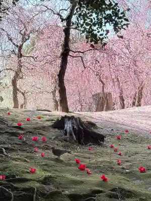 城南宮(京都府)