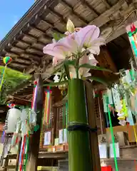 滑川神社 - 仕事と子どもの守り神の建物その他