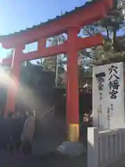 穴八幡宮の鳥居