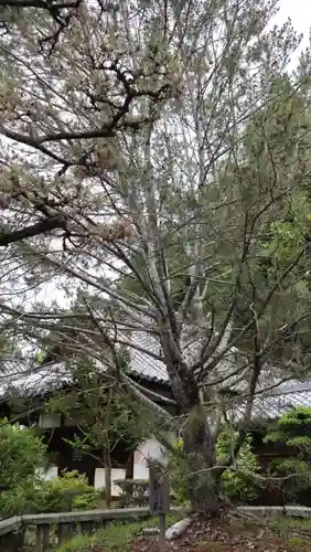 東大寺真言院(奈良県)