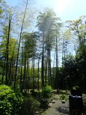 仏行寺（佛行寺）(神奈川県)
