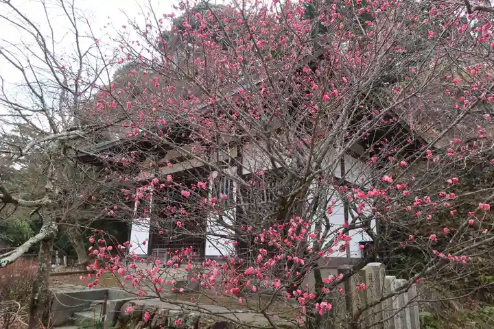施福寺(大阪府)