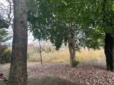 山の神神社(神奈川県)