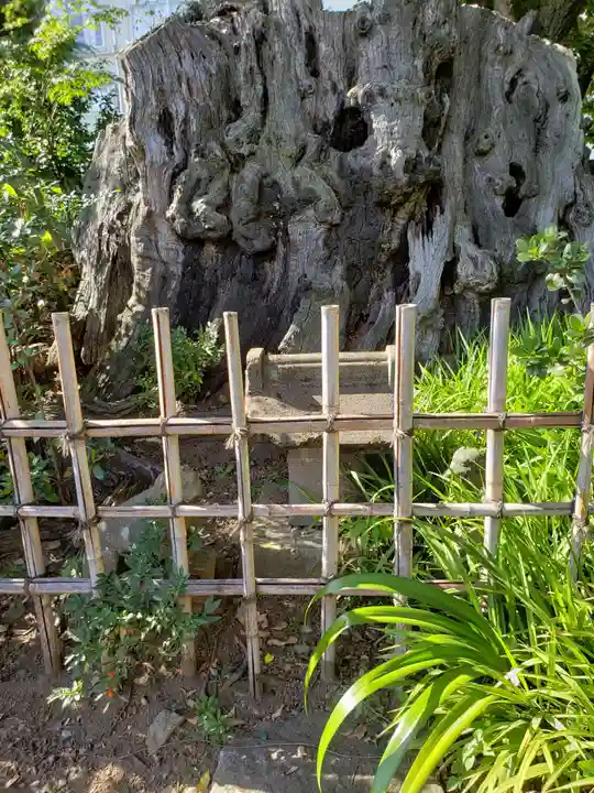 栄松院(東京都)