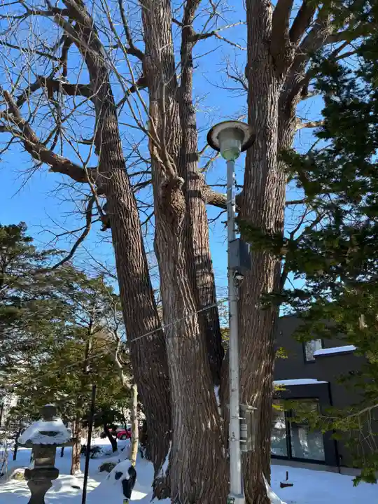 月寒神社(北海道)
