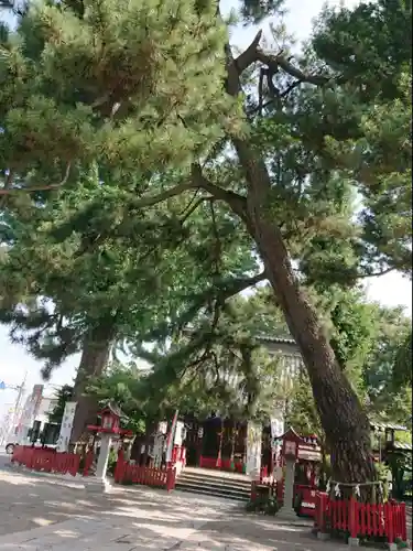 鴻神社の自然