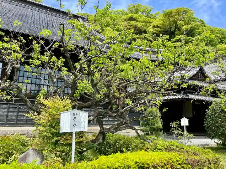 清見寺(静岡県)