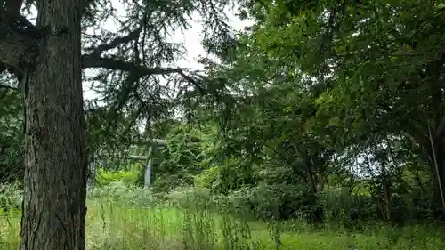 丸松神社の自然