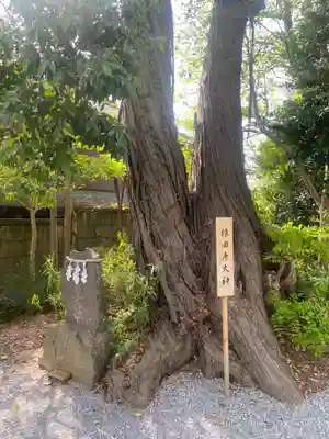 星宮神社(栃木県)