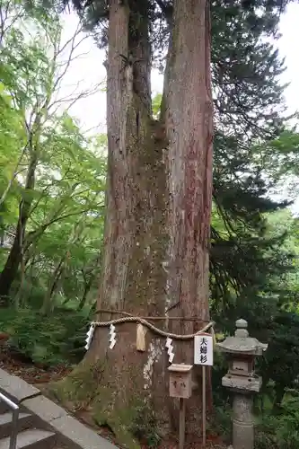 談山神社(奈良県)