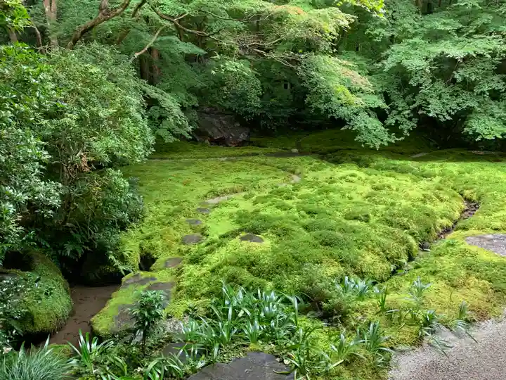 光明寺瑠璃光院の庭園