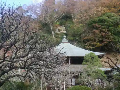 瑞泉寺の本殿・本堂