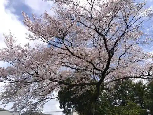 江守神社の自然