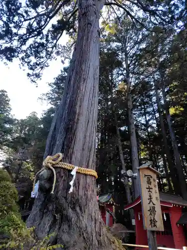 北口本宮冨士浅間神社(山梨県)