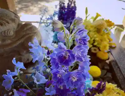 滑川神社 - 仕事と子どもの守り神の手水舎