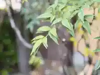 西方山極楽寺(岐阜県)