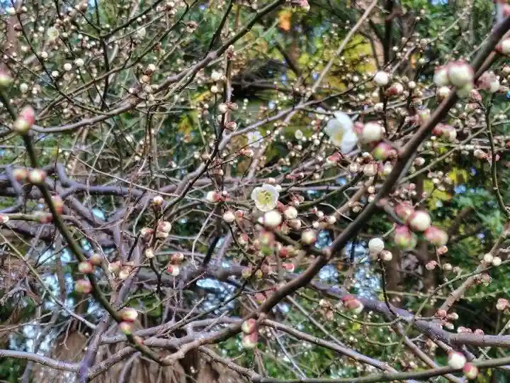 豊景神社(福島県)