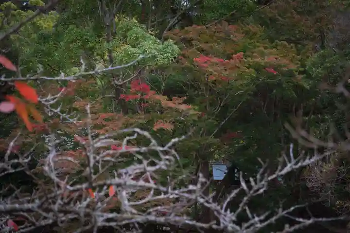 安房神社(千葉県)