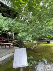 勝林寺(京都府)